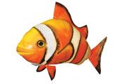 Летающая рыба - Клоун Air Swimmer Clownfish