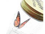 Релаксатор Электронная Бабочка в банке (Butterfly, Wandered) Монарх 