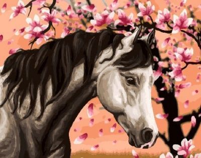 Картина по номерам "Серый конь" 40х50