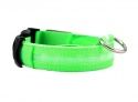 Светящийся ошейник для собак Luminous Collar for Dogs, размер M, зелёный