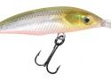 Воблер Siweida Dream Shad 55F 5,0г; 0,5-1,5м цвет 25 (W3601055-25)
