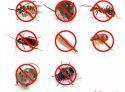Отпугиватель насекомых и грызунов Пест Реджект (Pest Reject) электронный